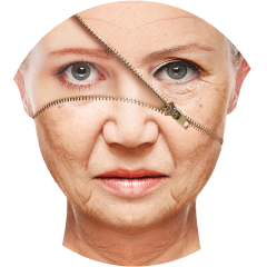 11-1.png(83500 byte)