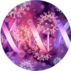 11-2.png(107015 byte)