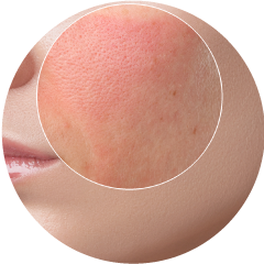 11-5.png(84817 byte)