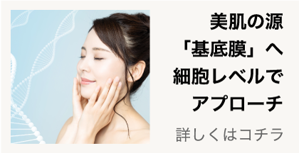 bihada.png(72256 byte)