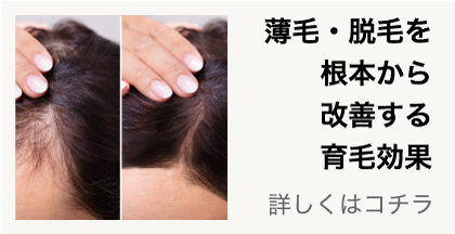 usuge.png(95248 byte)