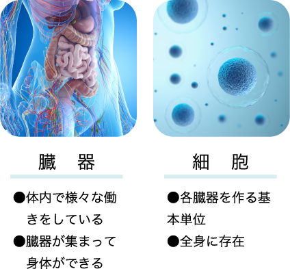 zokisai.png(153951 byte)