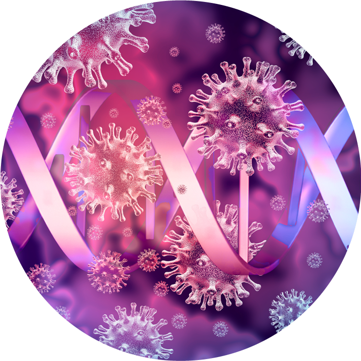 sp-11-2.png(882453 byte)