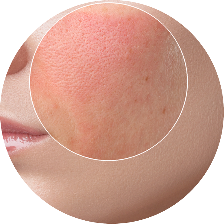 sp-11-5.png(750365 byte)