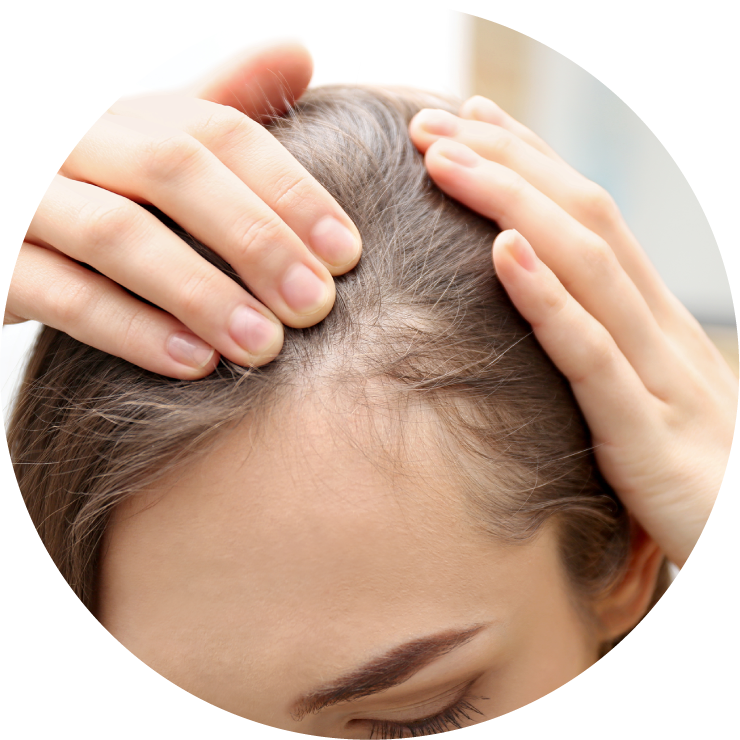 sp-11-6.png(741342 byte)