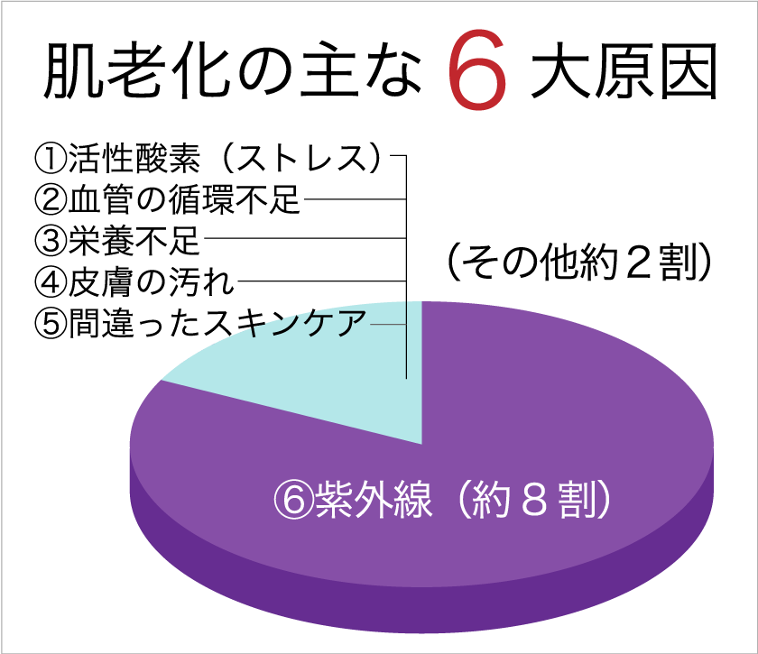 sp-hadaroka.png(68713 byte)