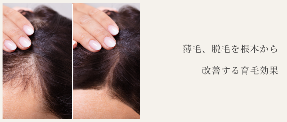 usuge-top.png(449027 byte)