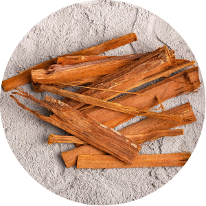 cats-c.png(147380 byte)