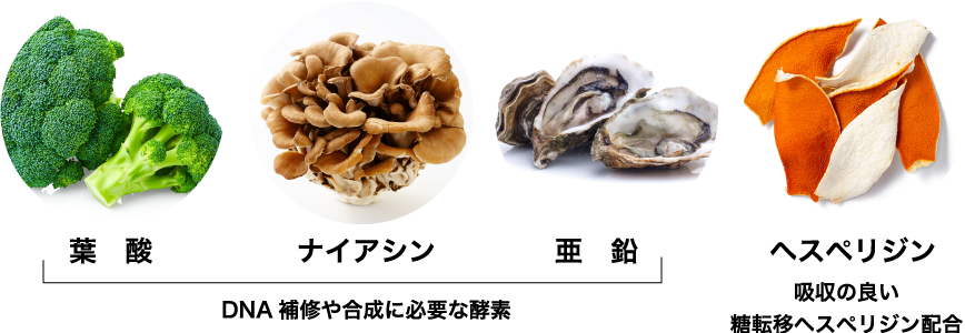 ac-seibun.png(261879 byte)