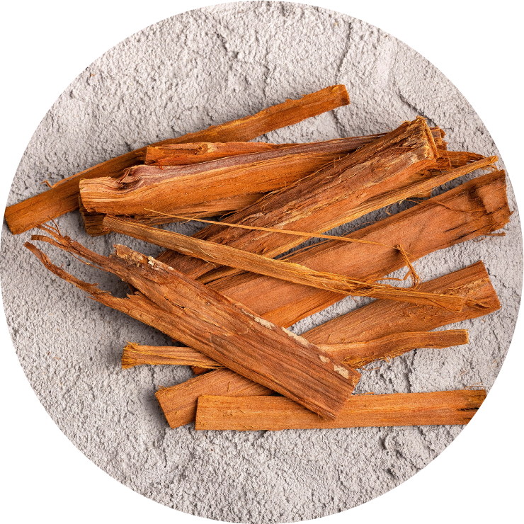 sp-catsc.png(805753 byte)